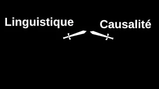 Miniature : Réponse aux commentaires du débat Causalité VS Linguistique