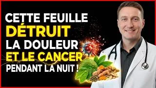 Miniature : Mettez Cette FEUILLE Dans l'Eau Chaude — ARTICULATIONS, PEAU et GLYCÉMIE Vous Remercieront