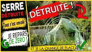 Miniature : Complètement DETRUITE ! Ma serre ravagée reprend vie dans un nouveau décor