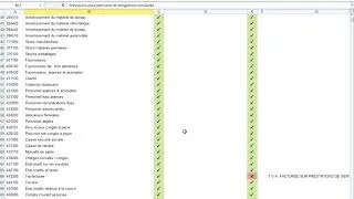 Miniature : L'OUTIL INCONTOURNABLE A UTILISER ABSOLUMENT AVANT SA 1ERE CLOTURE DES COMPTES SYSCOHADA REVISES