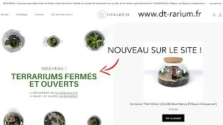 Miniature : Je vends des TERRARIUMS SUR MON SITE ! 🌿 (Click&Collect)