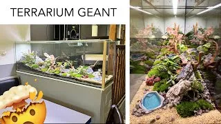 Miniature : J'ai créé un TERRARIUM GÉANT dans un restaurant ! 😱 🌿