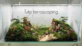 Miniature : Tuto terrarium dans une cuve d'aquarium ! (Terrascaping) 🌿