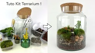 Miniature : ✂️ Tuto Kit Terrarium Alpha par DT-RARIUM ! 🌿