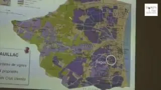 Miniature : Les Domaines Cazes et le Château Lynch-Bages au coeur du terroir de Pauillac par Nicolas Labenne