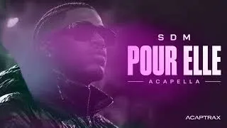 Miniature : 🎙️ SDM – POUR ELLE (ACAPELLA) | Vocals Only