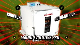 Miniature : EVOLUTIVE PRO MAINO : LA COUVEUSE QUI S’ADAPTE À VOS BESOINS !