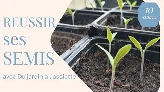 Miniature : 10 astuces pour réussir ses semis à tous les coups
