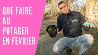 Miniature : Que faire au POTAGER en FEVRIER