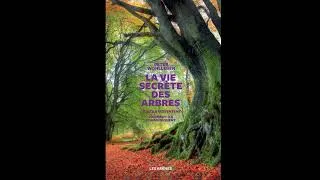 Miniature : La vie secrète des arbres   Peter Wohlleben mp3
