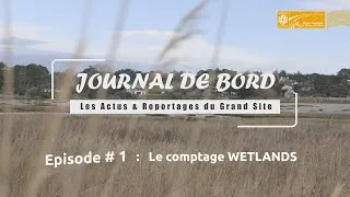 Miniature : Journal de bord #1 : le comptage Wetlands - oiseaux d'eau hivernants