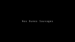 Miniature : Nos Dunes Sauvages