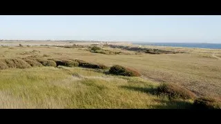Miniature : TEASER Nos Dunes Sauvages