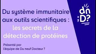Miniature : Du système immunitaire aux outils scientifiques : les secrets de la détection de protéine