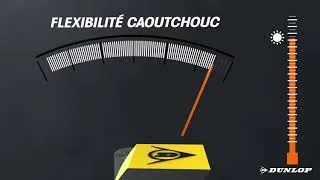 Miniature : Mélange de gomme Weather Flex - Dunlop All Season