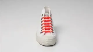 Miniature : Shoeps
