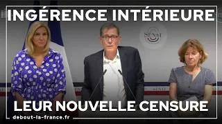 Miniature : « L'ingérence intérieure  » nouveau délit d'opinion.