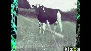 Miniature : Montage Vidéo Kizoa: bon