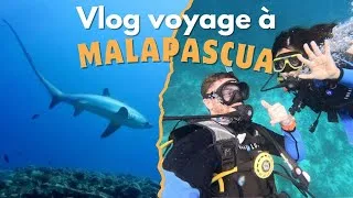 Miniature : Vlog voyage a Malapascua - à la rencontre des requins renard
