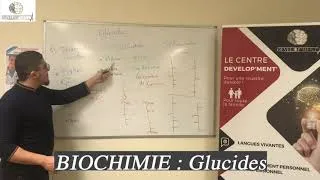 Miniature : BIOCHIMIE GLUCIDES (prépa PASS spécial terminales)