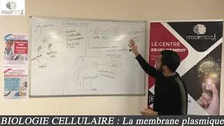 Miniature : BIOLOGIE CELLULAIRE : La membrane plasmique (cours de prépa PASS terminales)