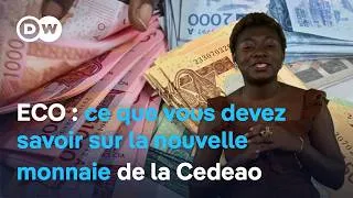 Miniature : ECO : ce que vous devez savoir sur la nouvelle monnaie de la CEDEAO