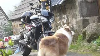 Miniature : ON SORT LES BÉCANES DANS LE LOT • TRIUMPH STREET TRIPLE 765 R