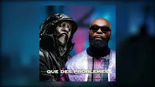 Miniature : Mashup Vald - QUE DES PROBLEMES & Ziak Feat Kaaris - Rien ne se remplace