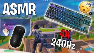 Miniature : Steelseries Apex Pro TKL ASMR 🤩 Satisfying Keyboard Sounds ASMR 240 FPS Smooth 4K ⭐