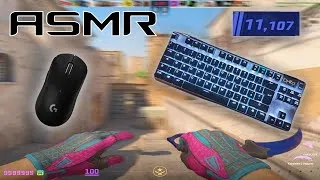 Miniature : Steelseries Apex Pro TKL ASMR 🤩 11k Premier CS2 Rating 165 FPS Smooth 1440p 🎧