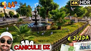 Miniature : ☀️ 40°C à l'ombre ! Je roule sous la canicule, protégé par les arbres 🌳🚴! l'euro tjr en  baisse #537