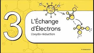 Miniature : Oxydoréduction par voie sèche 