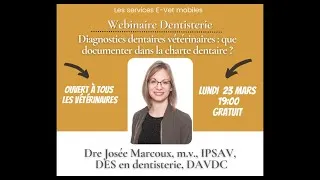 Miniature : Webinaire dentisterie comment bien compléter une charte dentaire - 23 mars 2026 - Dre Josée Marcoux