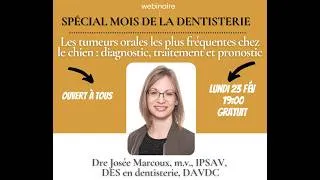 Miniature : Webinaire dentisterie vétérinaire: les masses orales chez le chien et chat avec Dre Josée Marcoux