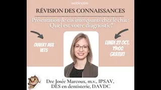 Miniature : Webinaire Dentisterie vétérinaire:  cas cliniques félins avec Dre Josée Marcoux - 27 oct 2025