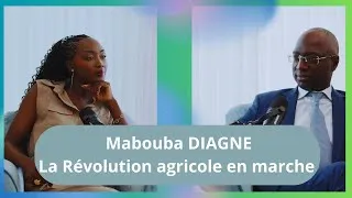 Miniature : The Green Experience ft Mabouba Diagne : la révolution agricole en marche. Le Ministre nous parle