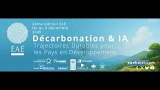Miniature : Vers une perspective de planification des investissements dans l'électricité en Haïti - F. G. Chréy