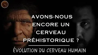 Miniature : L’évolution du cerveau humain : de nos ancêtres à aujourd’hui...