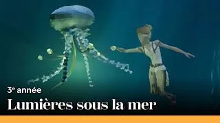 Miniature : LUMIÈRES SOUS LA MER | e-artsup