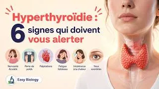 Miniature : Hyperthyroïdie : 6 signes qui doivent vous alerter