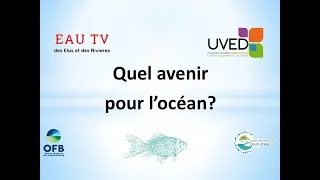 Miniature : Quel avenir pour l'océan?