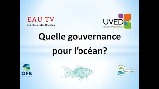 Miniature : Quelle gouvernance pour l'océan?