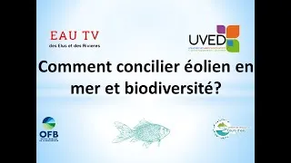 Miniature : Comment concilier développement de l'éolien en mer et biodiversité ?