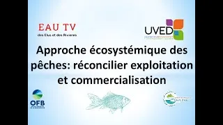 Miniature : L’approche écosystémique des pêches : réconcilier exploitation et conservation