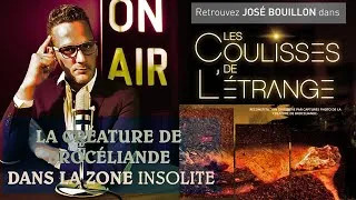Miniature : Les coulisses de l'étrange dans la zone insolite. La créature de Brocéliande.