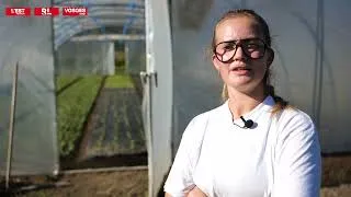 Miniature : MOSELLE - Trophées de l'Agriculture 2022 - FERME DE DOMANGEVILLE
