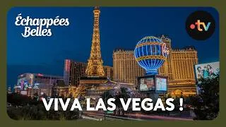 Miniature : Viva Las Vegas ! - Échappées belles
