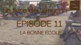 Miniature : Ce que cache cette école va tout changer | Gameplay immersif TESO -  Le livre de Laryenn S1E11