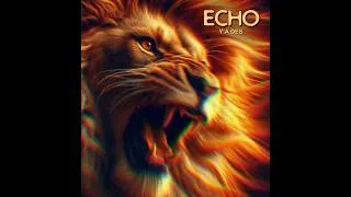 Miniature : Y a des - ECHO