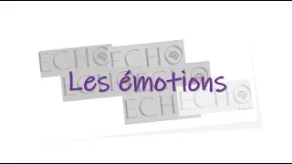 Miniature : Les émotions by Echo Learning - J Baste
